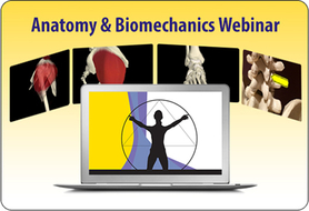 Pilates Teacher Academy Anatomy and Biomechanics Webinar